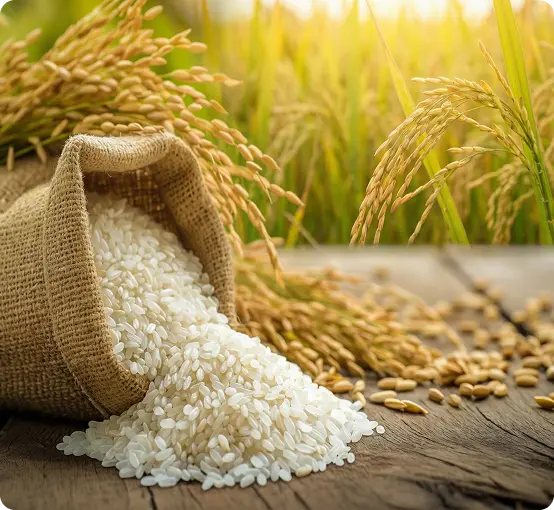 60+ Years of Industrial Expertise