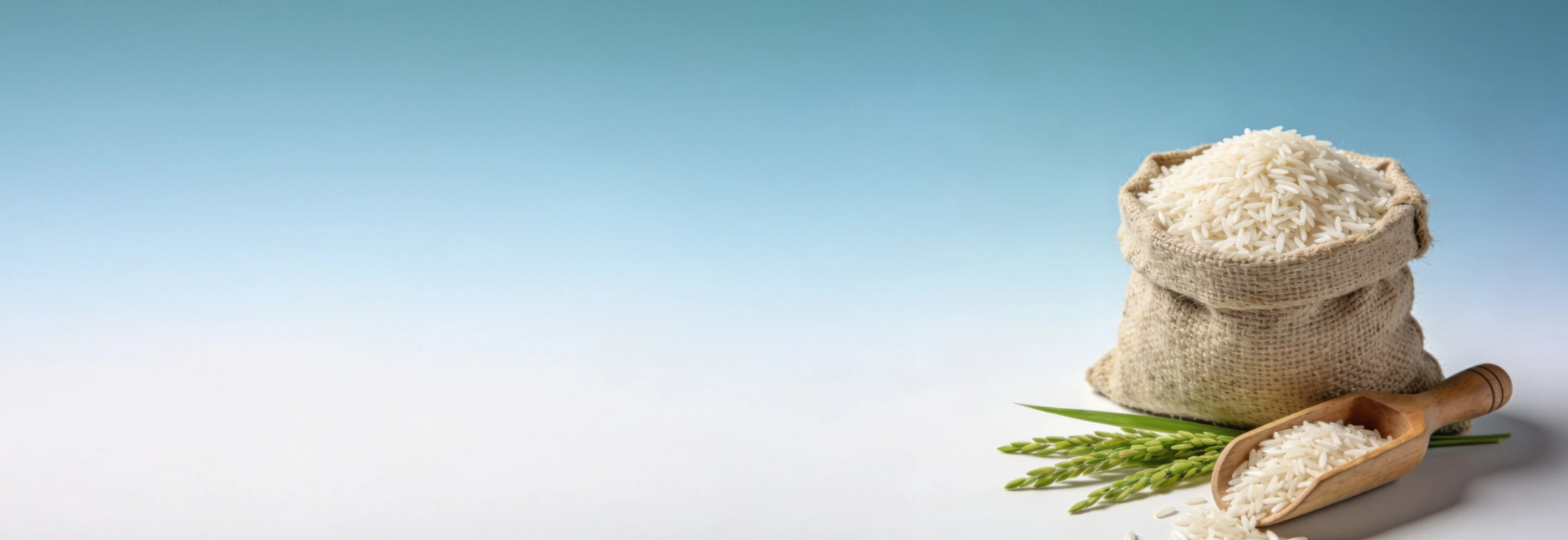 Global Footprint Background