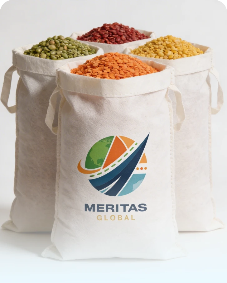 Non-woven Bags