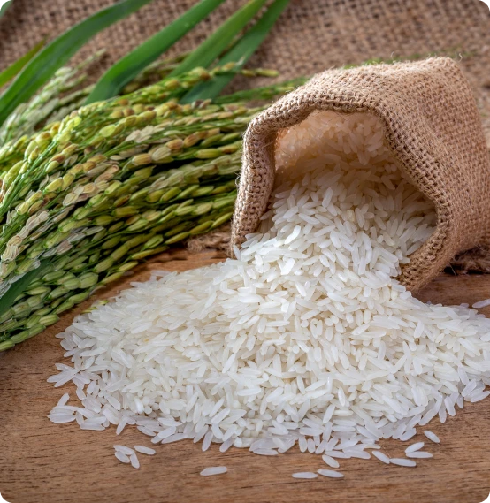 Our Global Export Reach