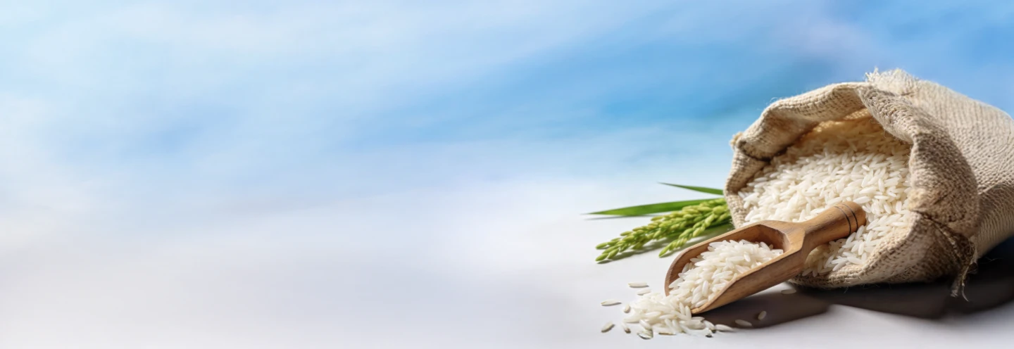 Rice Background