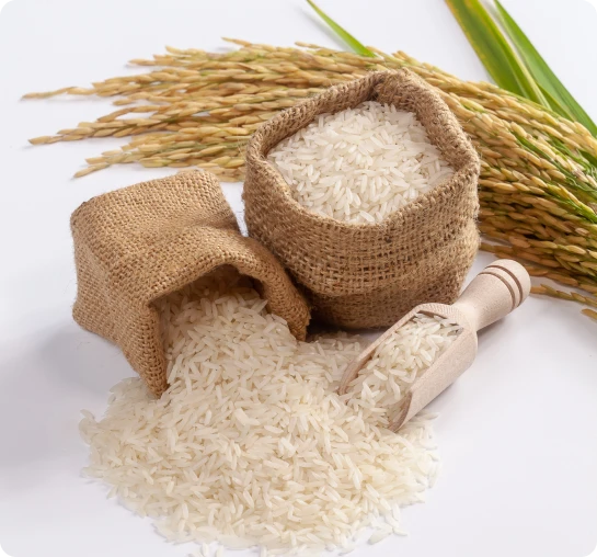 How We Serve Our Global Clients